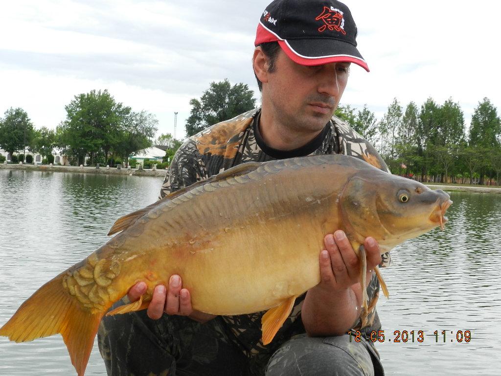 carpfising 19-05-20013 - dscn1383.JPG